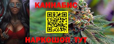 индика Мариинск
