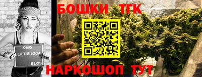 индика Мариинск