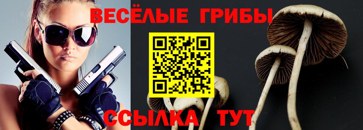 Галлюциногенные грибы мухоморы  Вход с VPN  Советская Гавань 